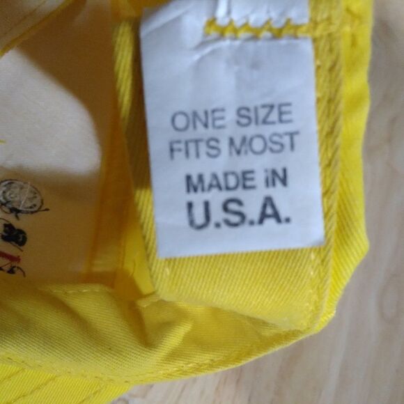 Vintage Union Pacific GE Trasport Systems  Snap Back Hat - Picture 8 of 8